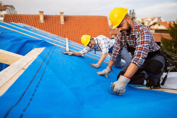 Best Roof Repair Services  in Conway Springs, KS