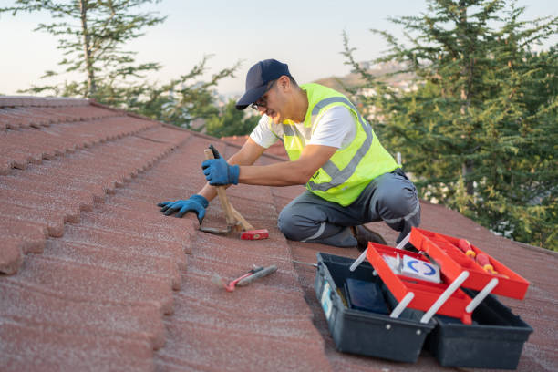 Best Roof Repair Services  in Conway Springs, KS